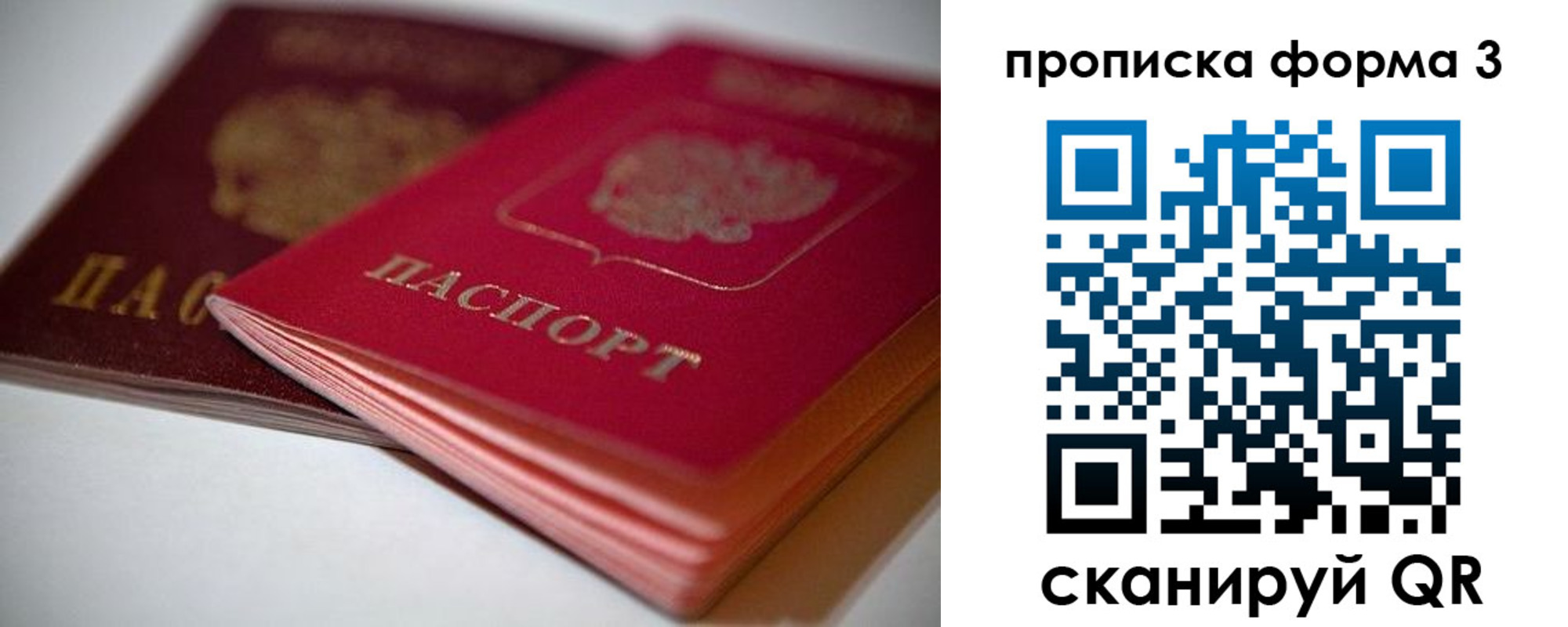 временная регистрация надежно в Елизово